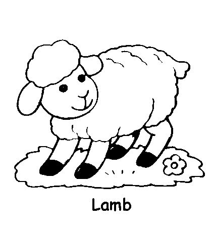 Animal Coloring Pages 5