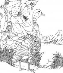 Barbie of Swan Lake Coloring Pages 6
