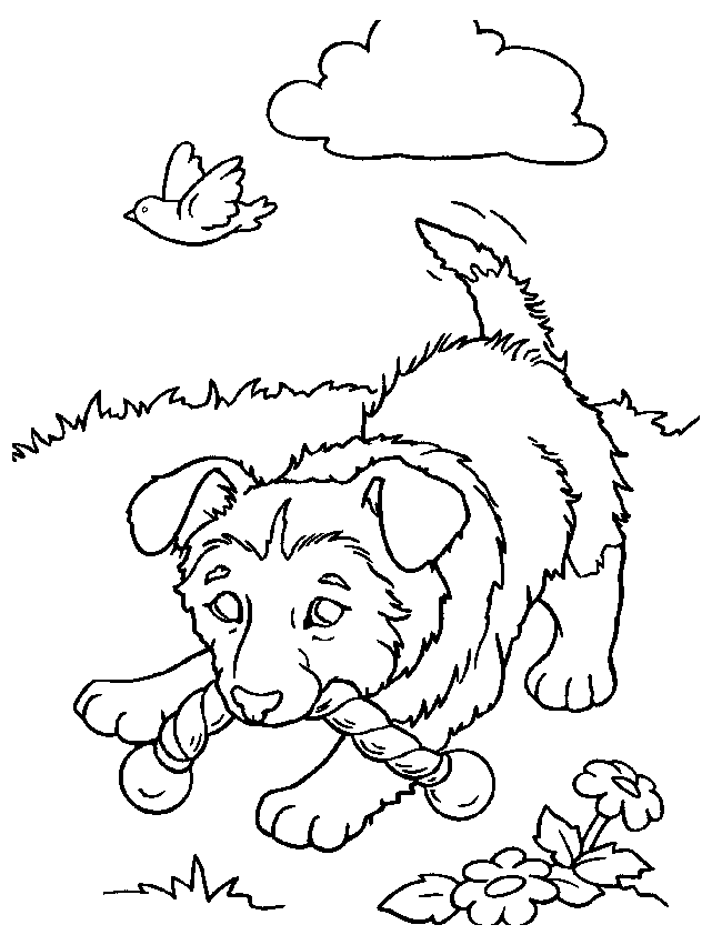 Dog Coloring Pages 7