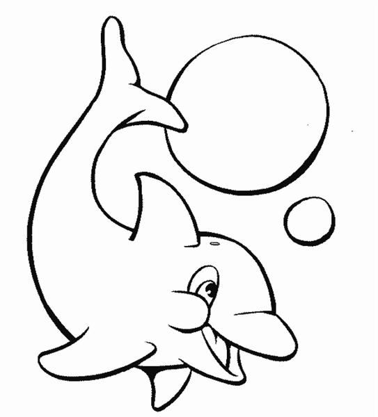 Dolphin Coloring Pages 2