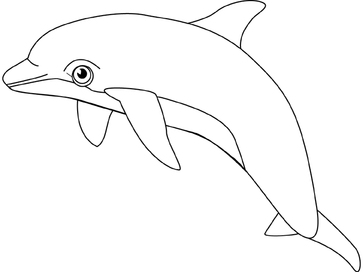 Dolphin Coloring Pages 3