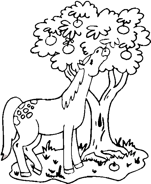horses coloring pages. Horse Coloring Pages 2