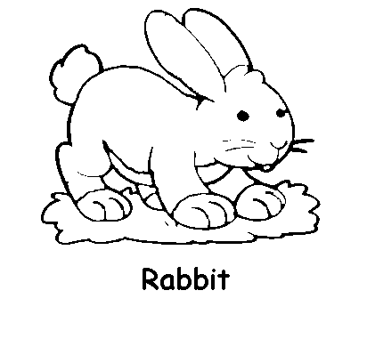 Animal Coloring Pages 1