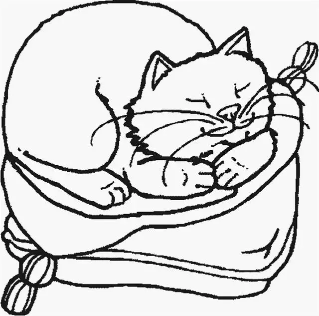 Cat Coloring Pages 3