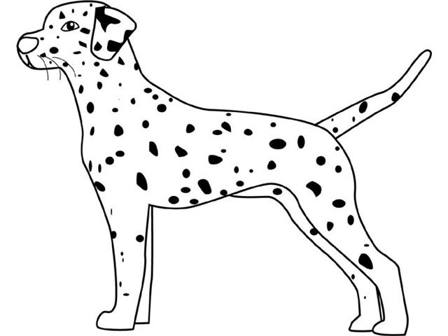Dalmation Coloring Pages 4