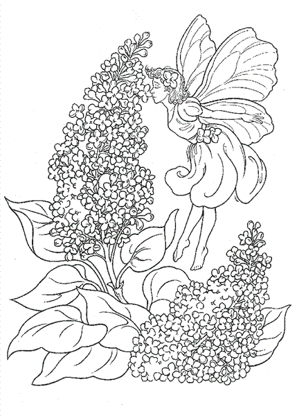 Fairy Coloring Pages 9