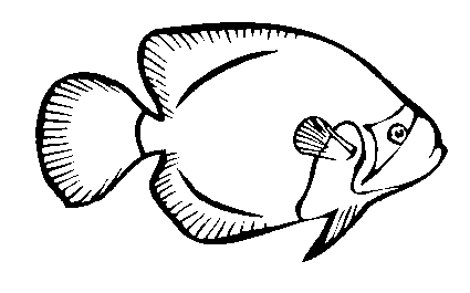 Fish Coloring Pages 4