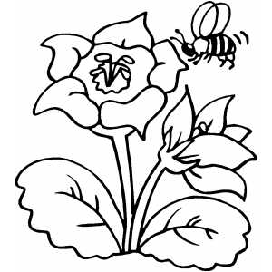 Printable Flower Coloring Pages 3