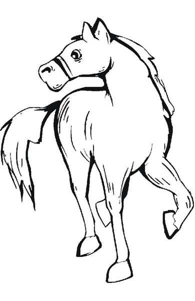 Horse Coloring Pages 1