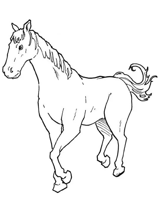 Horse Coloring Pages 6