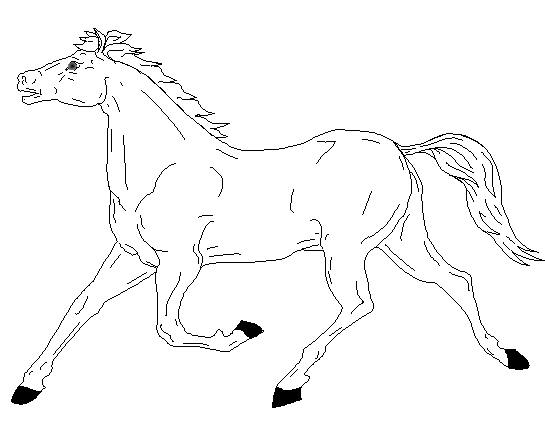 Horse Coloring Pages 8