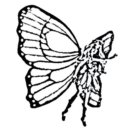 Mariposa Coloring Pages 8