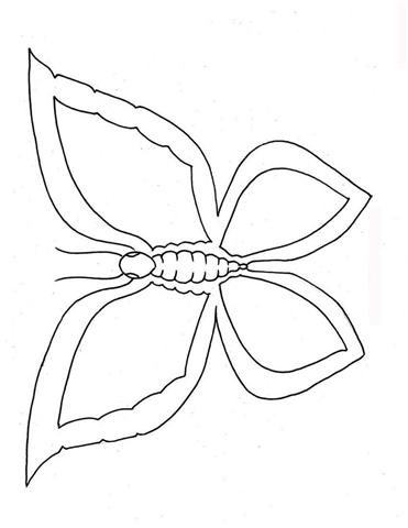 Butterfly Coloring Pages 4