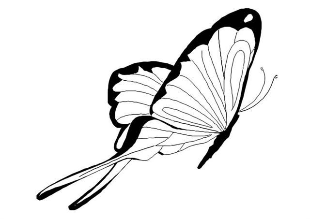 Butterfly Coloring Pages 9