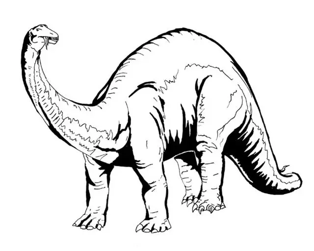 Dinosaur Coloring Pages 24