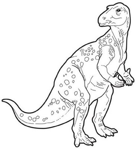 Dinosaur Coloring Pages 35