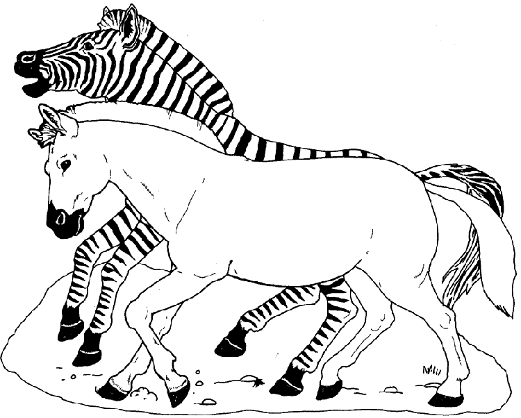Zebra Coloring Pages 2