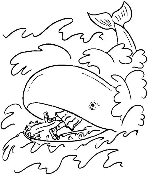 Shark Coloring Pages 2