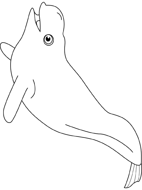 Shark Coloring Pages 3