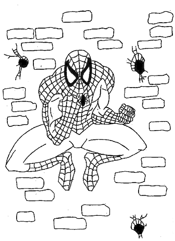 Spiderman Coloring 11